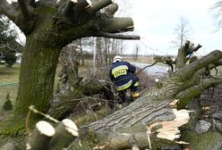 Wichura nad Polską. Połamane drzewa, zablokowane trasy