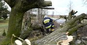 Wichura nad Polską. Połamane drzewa, zablokowane trasy