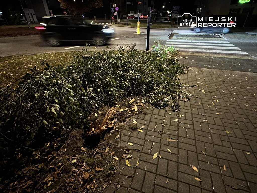 Złamane gałęzie leżą na chodniku obok jezdni, w tle przejeżdżający samochód. Jesienna sceneria z opadłymi liśćmi.