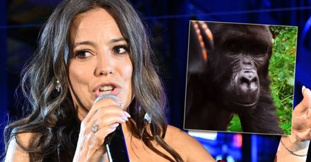 Anna Mucha przeżyła niebezpieczną przygodę w Ugandzie. "Serce mi na sekundę stanęło"