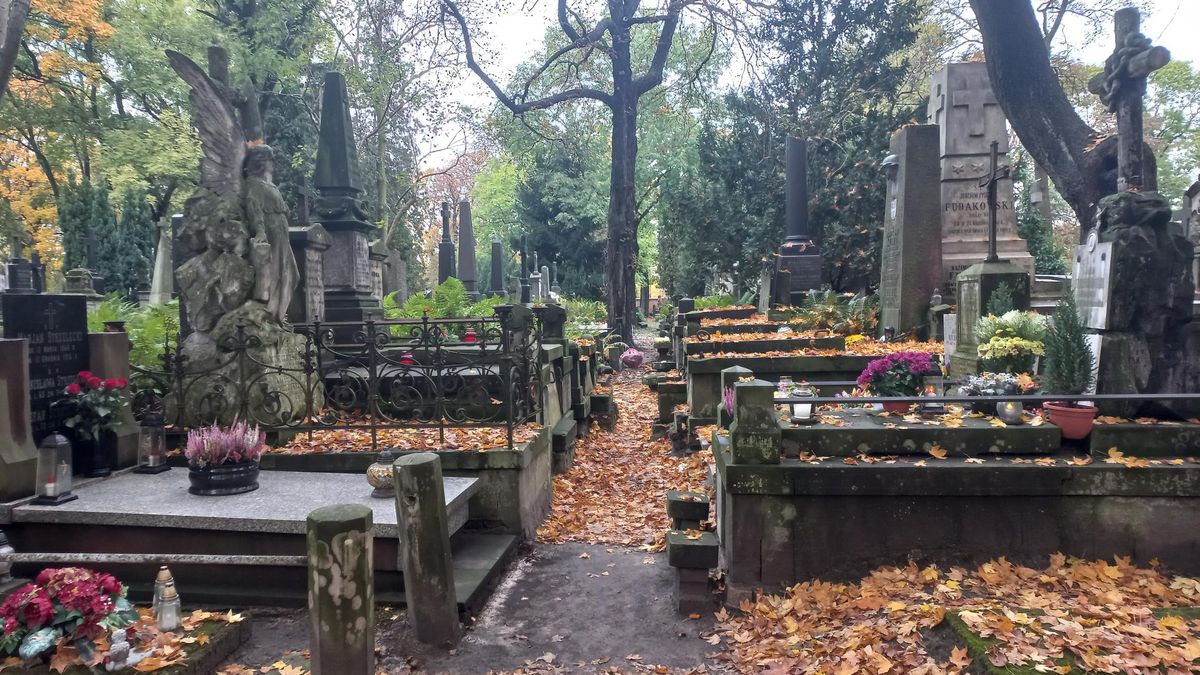 Regulamin określa m.in. to, jak powinien wyglądać pomnik i jakie kwiaty można zasadzić na cmentarzu