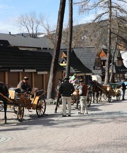 Mają dość Zakopanego. Tłumaczą, czemu się wyprowadzili