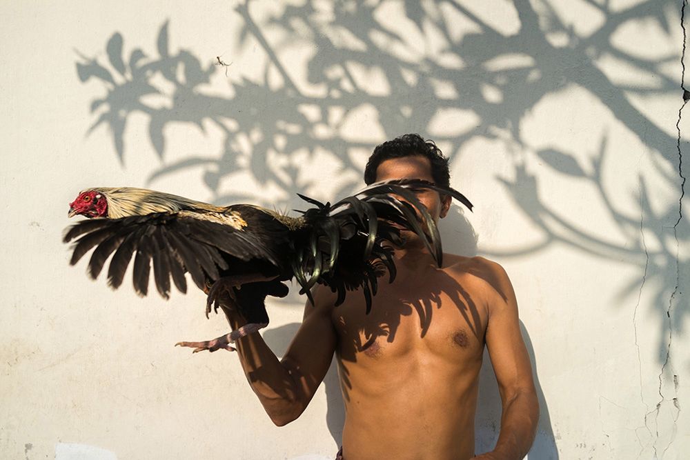 Oto zwycięzcy konkursu Sony World Photography Awards 2016 17