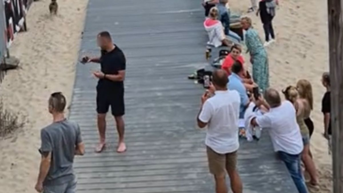 Dziki na plaży w Międzyzdrojach. Ludzie aż wyciągali telefony.