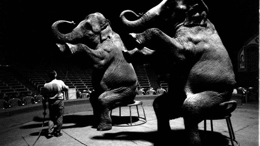 Greg Marinovich w Krakowie i Warszawie – wystawa, spotkanie i warsztaty! 1