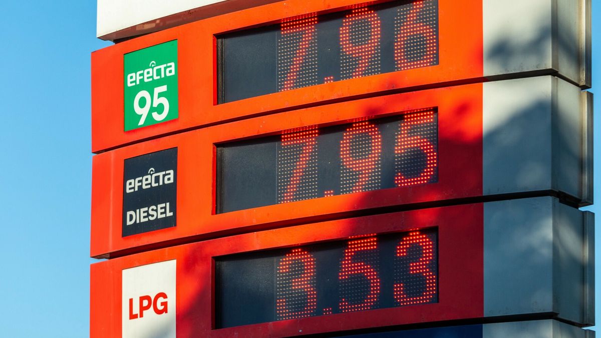 Na przełomie czerwca i lipca ceny benzyny i diesla w Polsce sięgnęły 8 zł za litr. Zdjęcie ilustracyjne