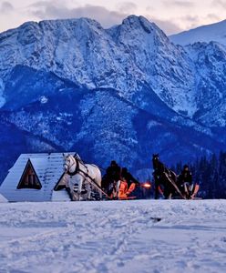 Premiera serialu "Forst". Zakopane przeżyje kolejny boom?