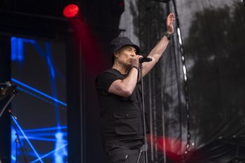 Festyn Gołuchowski zbliża się wielkimi krokami. Poznaj program imprezy