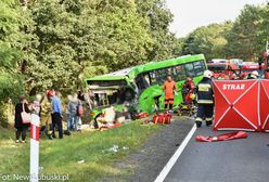 Dramatyczny wypadek pod Zieloną Górą. Jedna osoba zmarła. Ponad 50 jest rannych
