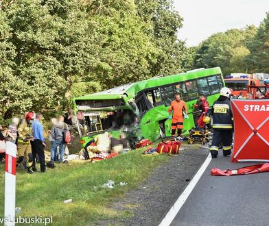 Dramatyczny wypadek pod Zieloną Górą. Jedna osoba zmarła. Ponad 50 jest rannych