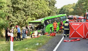 Dramatyczny wypadek pod Zieloną Górą. Jedna osoba zmarła. Ponad 50 jest rannych