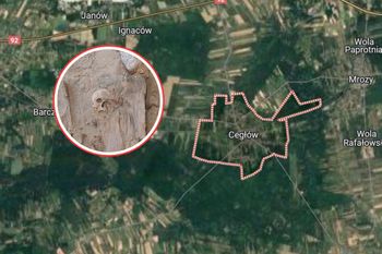 Odkrycie archeologiczne w Cegłowie. Tajemnice krypty kościoła