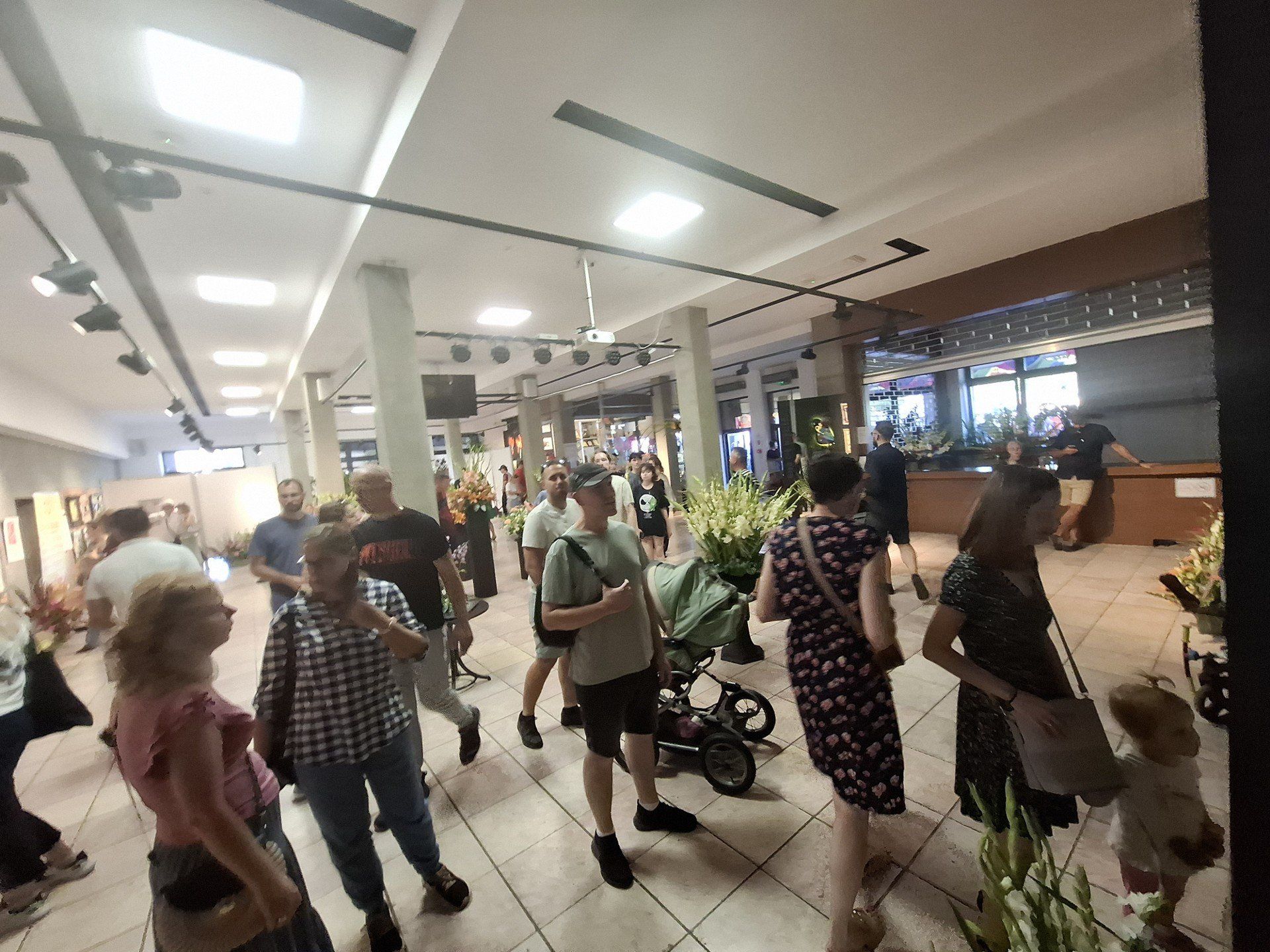 Wystawa pająków, którą warto odwiedzić. Wszystko w ramach Święta Kwiatów, Owoców i Warzyw