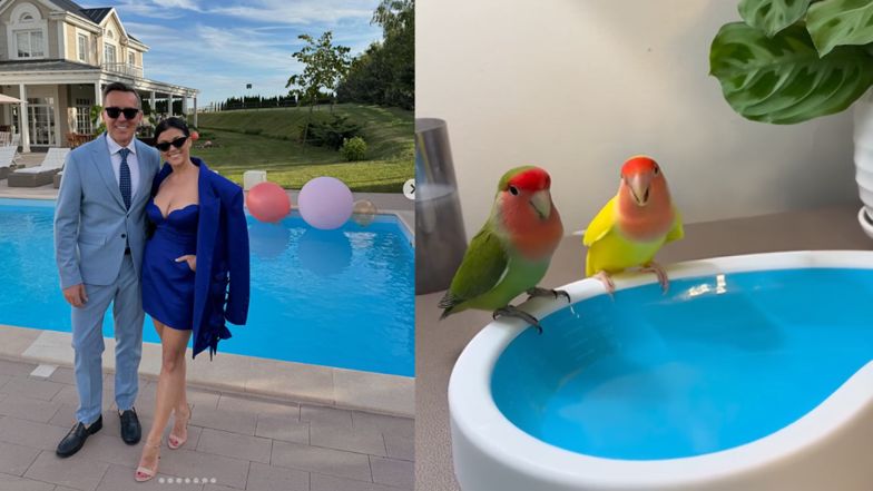  Papużki nierozłączki, które wyglądają jak "Kurzopki"