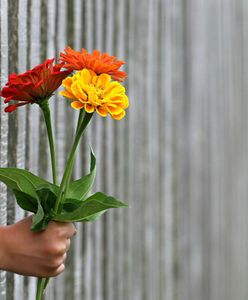 Życzenia na Dzień Kobiet. Krótkie i taktowne, idealne na 8 marca