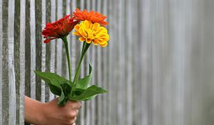 Życzenia na Dzień Kobiet. Krótkie i taktowne, idealne na 8 marca