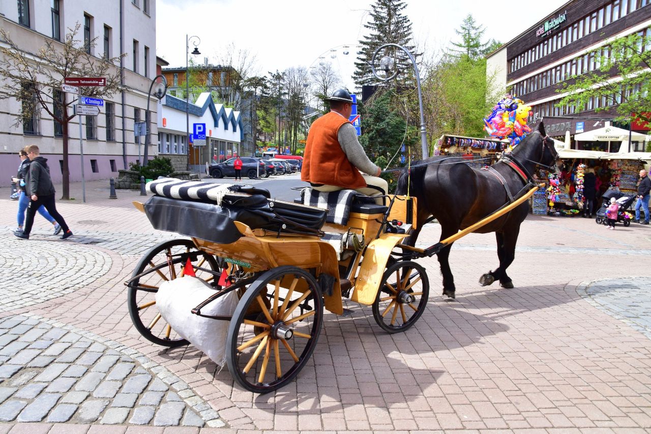 Zakopane pisze do Tuska