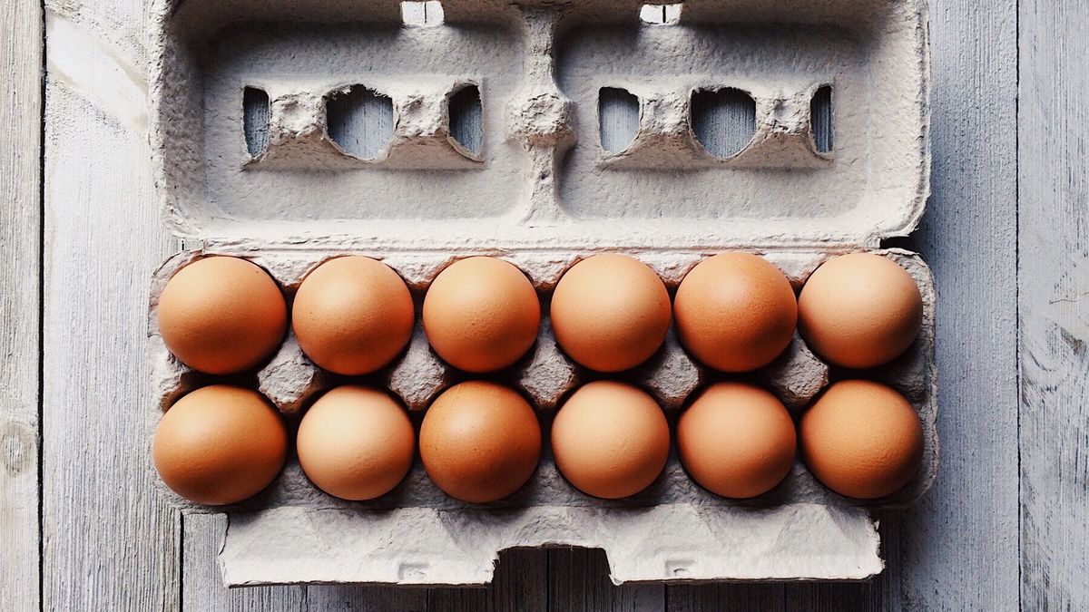 Zdjęcie ilustracyjne. 