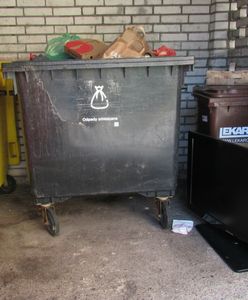 Nie wyrzucaj do śmieci ogólnych. Kara do 5 tys. zł