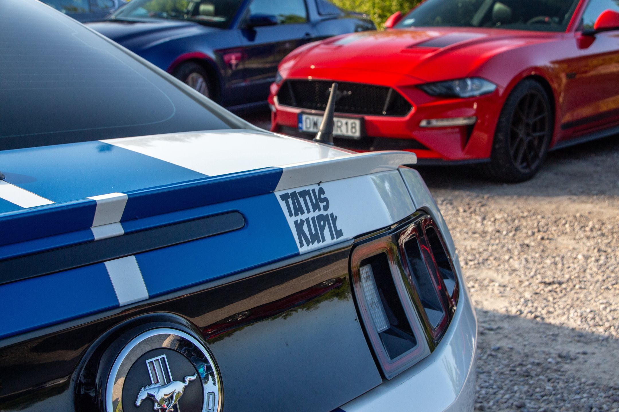 Małopolski & Śląski Zlot Mustangów 2024