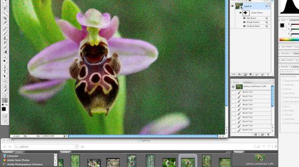 Nielegalny Photoshop zaopatrzony w nowego trojana 1