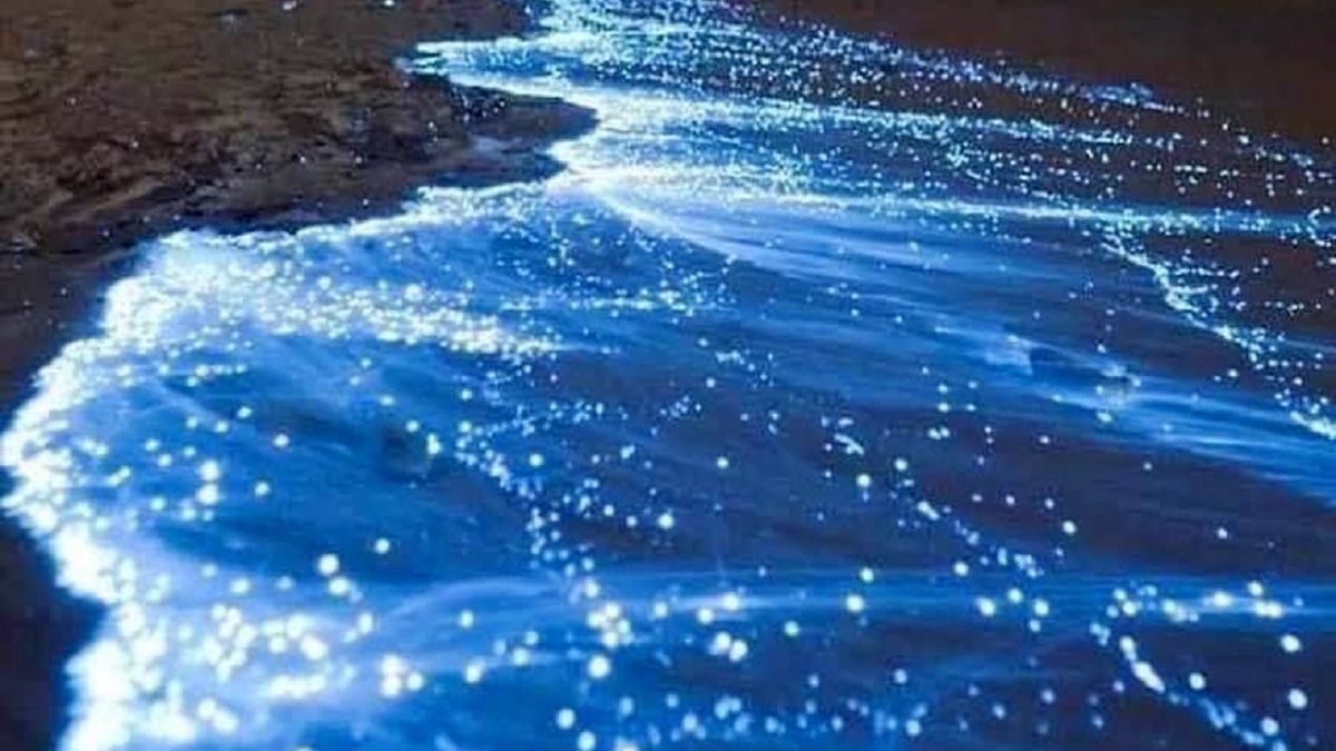 Bioluminescencyjny plankton pojawił się na plaży w Acapulco