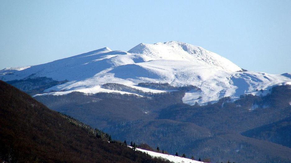 Tarnica