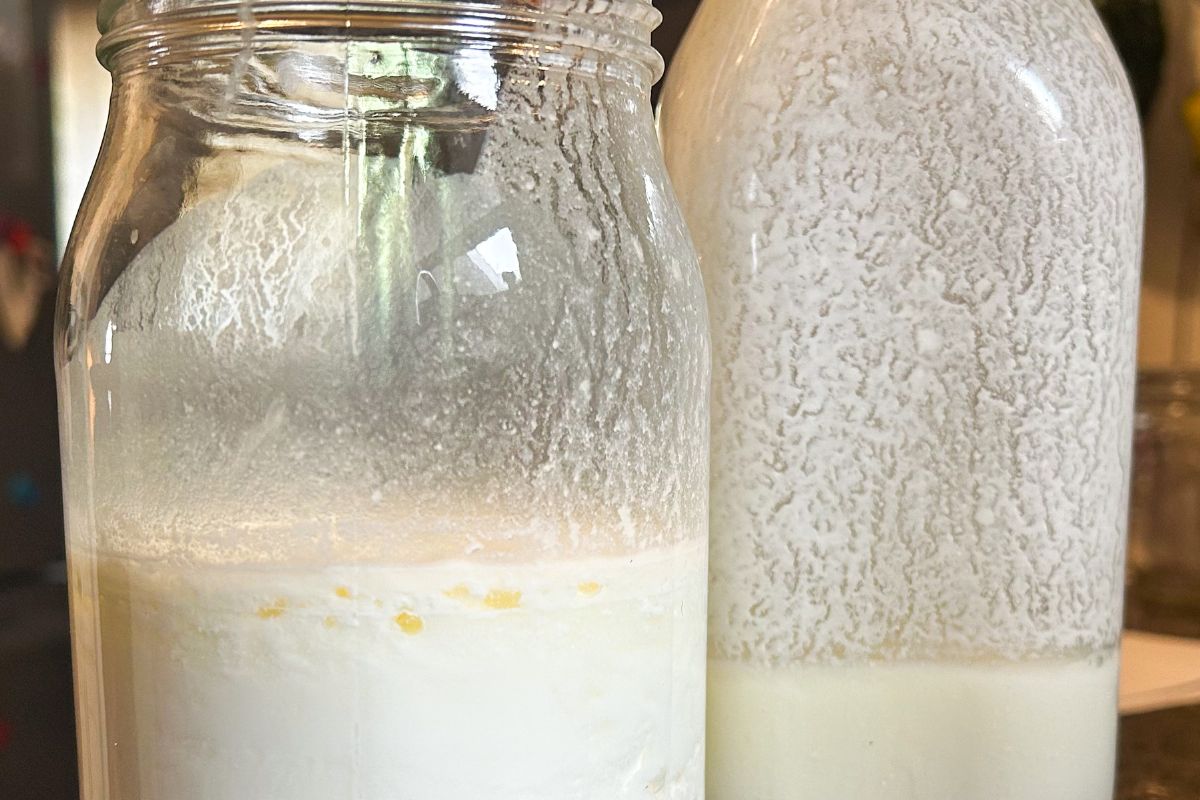 Bije na głowę kefir i maślankę. Najzdrowszy napój dla jelit