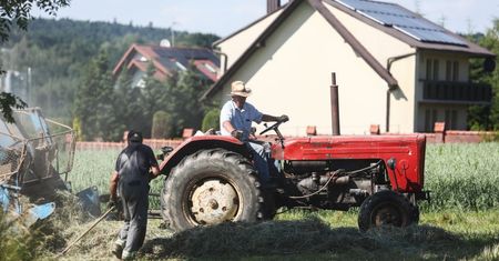 Pracował 41 lat w gospodarstwie. Tyle dostaje emerytury z KRUS-u