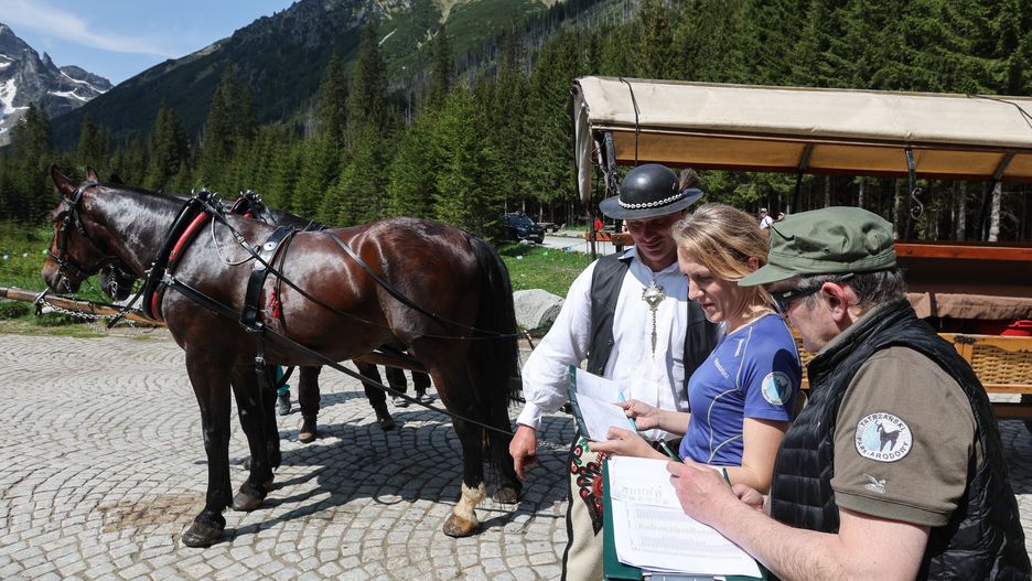badanie koni na Polanie W�osienica
Polana W�osienica, 06.06.2025. Badanie koni na Polanie W�osienica w Tatrach, 6 bm. Rozpocz�y si� okresowe badania stanu zdrowia koni pracuj�cych na drodze do Morskiego Oka, maj�ce na celu sprawdzenie kondycji zwierz�t przed letnim sezonem turystycznym. (mr) PAP/Grzegorz Momot
Grzegorz Momot
bada�, badania, jezioro, koni, konie, konne, ko�, morskie oko, tatry, trasnport, turystyka, zaprz�g, zaprz�gi
