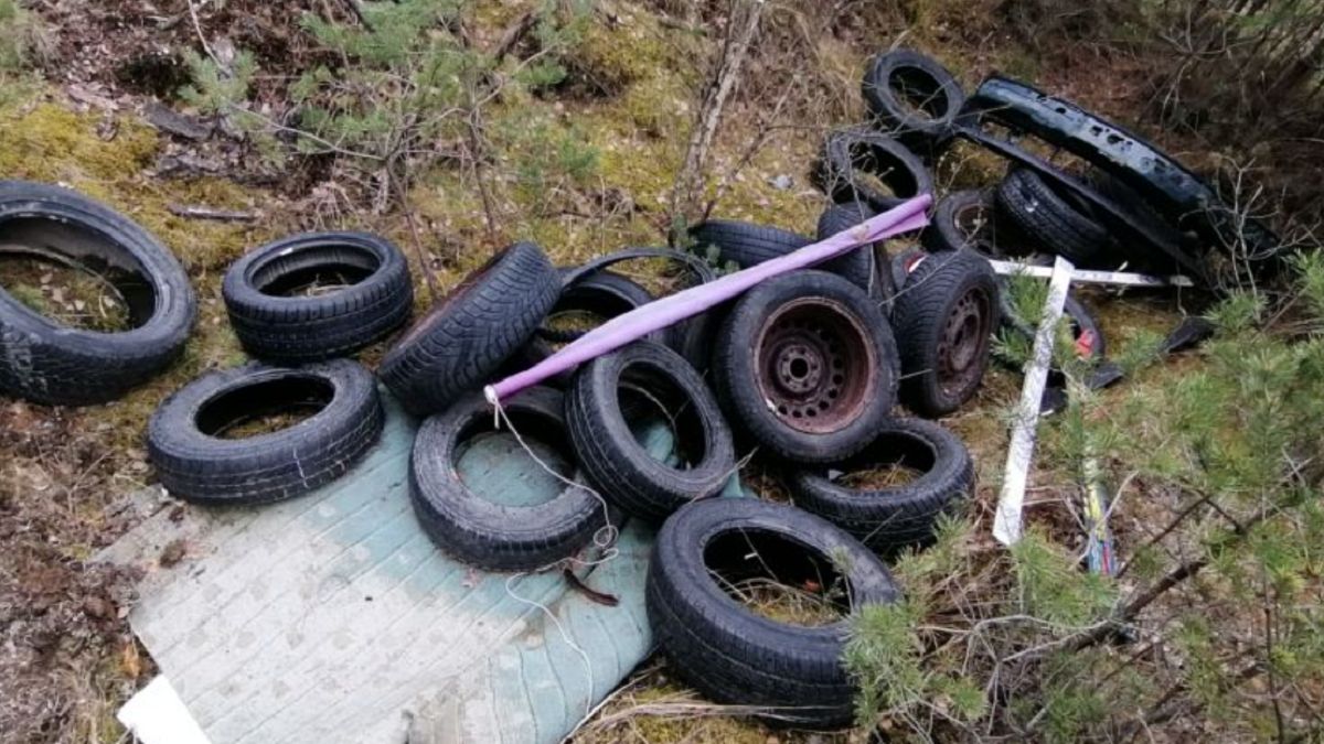 Smutny widok w lesie. "Sezon na wymianę opon właśnie się zaczyna"