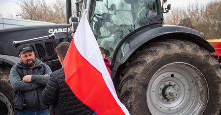 "FAZ": Problemy PiS-u ze zbożem. "Gniew wsi"