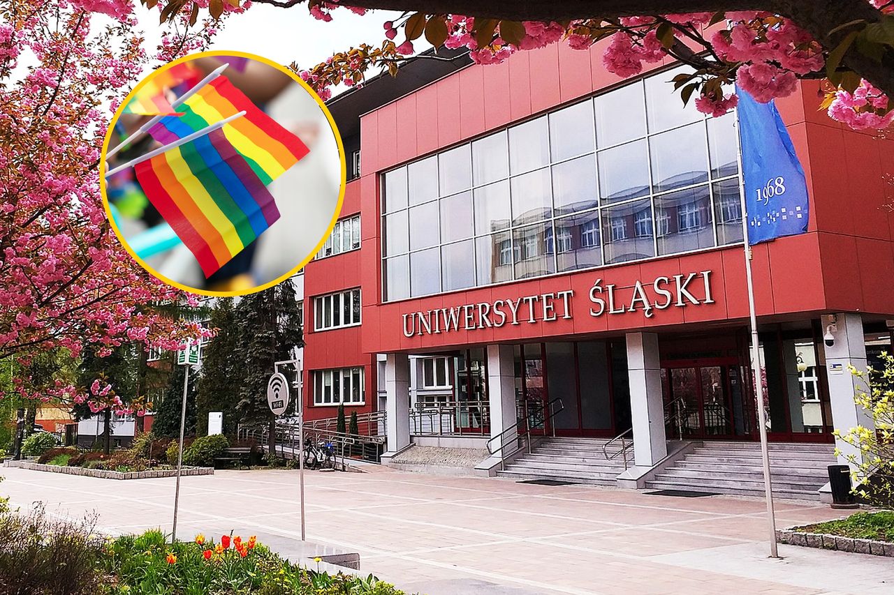 Uniwersytet Śląski uruchamia nowe kierunki studiów