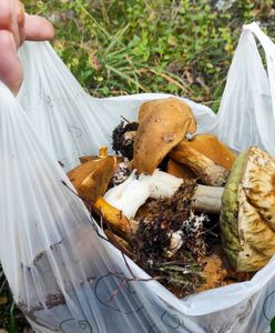 Cudem uratowany. Grzybiarz nie mógł znaleźć drogi do domu