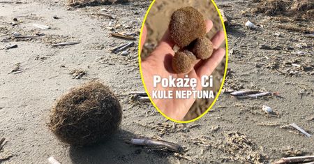 Dziwne "kłaczki" na plaży. "Wiele razy się zastanawiałem, co to jest"