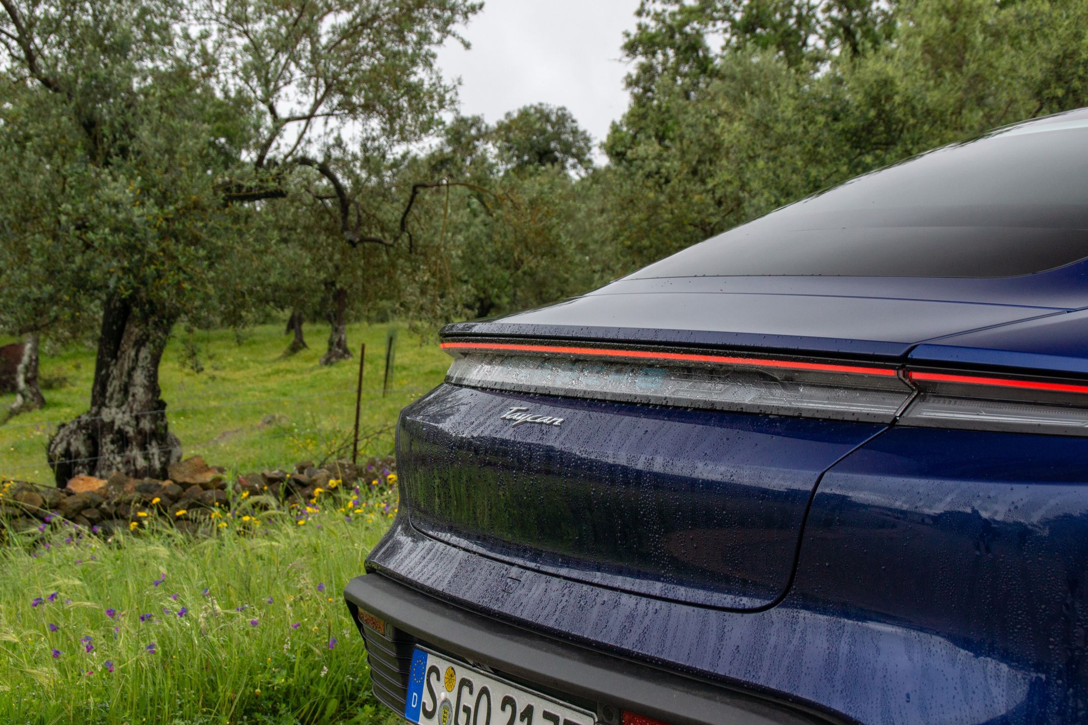 Porsche Taycan FL 2024