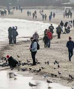 Święta w domu czy na wyjeździe? Tak spędzą je Polacy