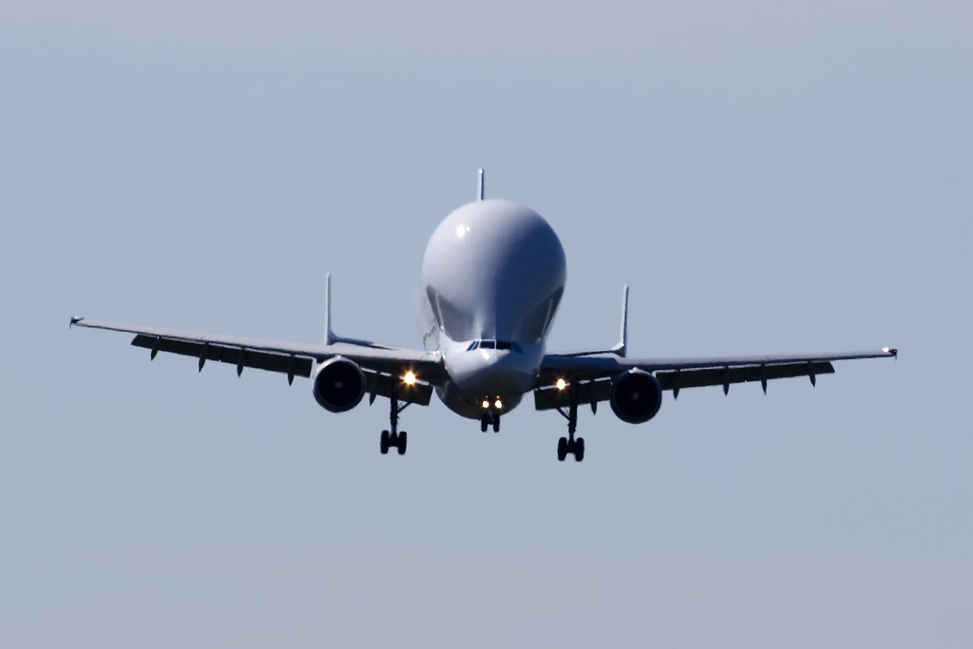 Airbus Beluga - widok z przodu