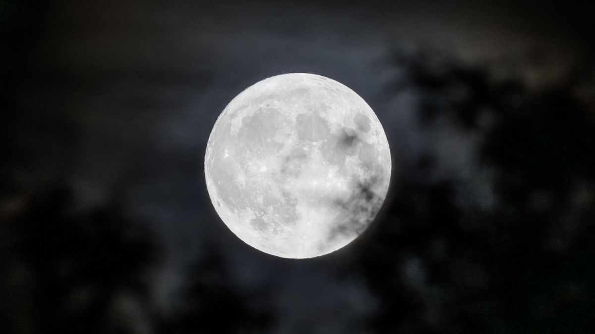 MADRID, SPAIN - AUGUST 30: View of the blue supermoon, on 30 August, 2023 in Madrid, Spain. Today the second full moon of August, known as the 'blue supermoon' or 'harvest', can be observed in the sky. The 'blue supermoon' occurs when a 'supermoon' and a 'blue moon' occur simultaneously. The 'blue moon' owes its name not to the color but to being a second full moon in the same month, while the 'supermoon' occurs when the Moon is at its closest point to the Earth and at the same time is a full Moon. An extraordinary event, which will not be repeated until 2037, according to NASA, and can be seen with the naked eye on the night of August 30 to 31 in any place in Spain dimly lit and where the moonlight is intense enough. (Photo By Diego Radames/Europa Press via Getty Images)
