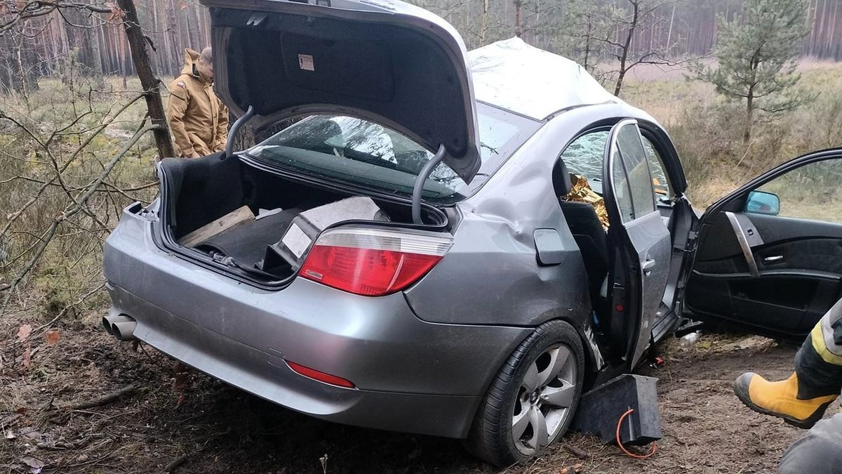 BMW uderzyło w drzewo