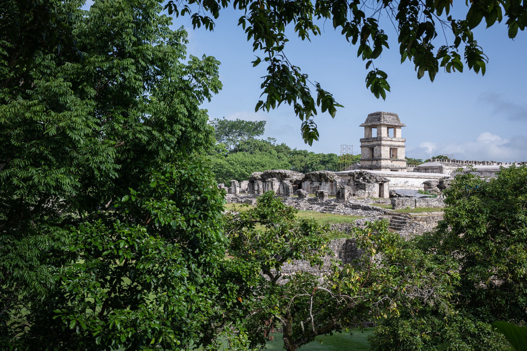Despite an ongoing global surge in new coronavirus cases due to the Delta variant, among other Covid-19 mutations, the tourism sector in Mexico recovered slightly in the late summer of 2021 as tourists and international visitors pursued travel following vaccination campaigns in their home countries. Above, tourists visit Mayan pyramids and ruins in Palenque, Chiapas, Mexico on 25 August, 2021. (Photo by Diego Cupolo/NurPhoto via Getty Images)