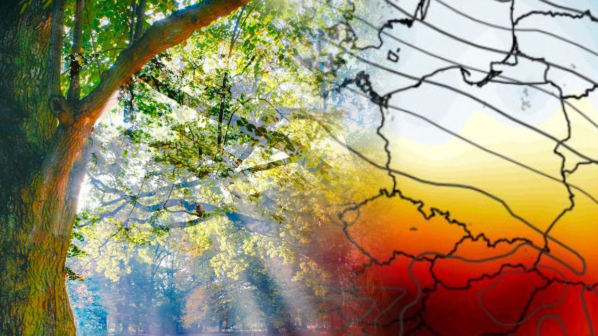 Prognoza na pierwszą połowę września.
