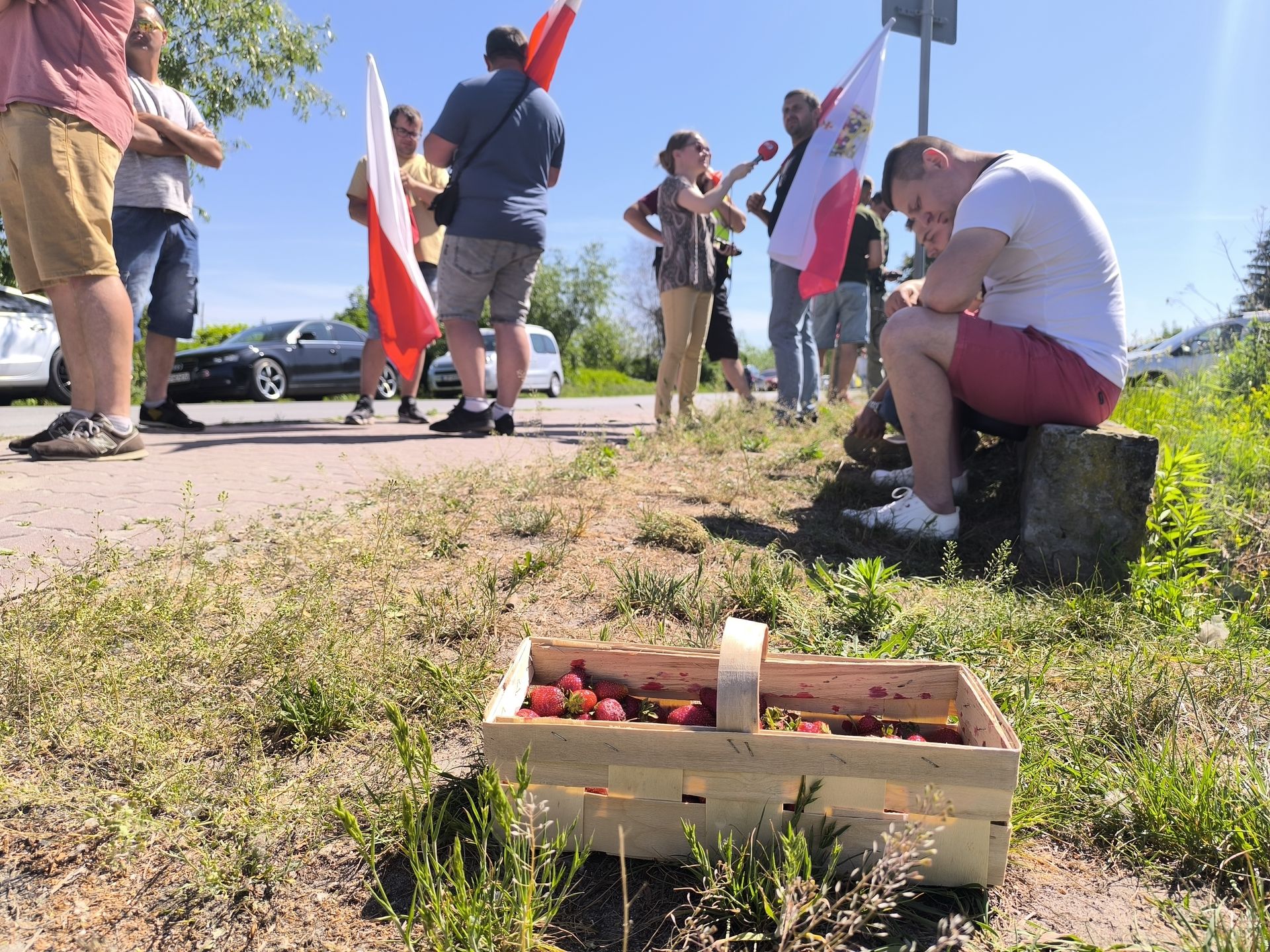Truskawkowy strajk w Opolu Lubelskim