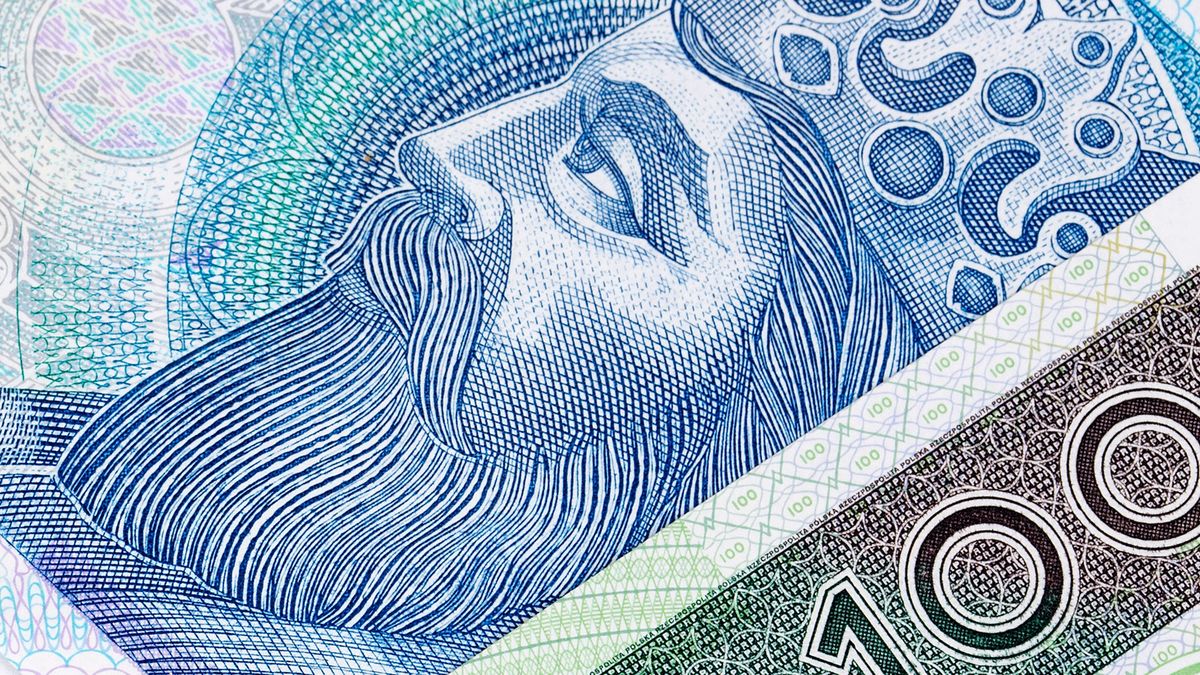 polish, insurance, documents, money, poland, zloty, zus, background, currency, cash, finance, business, bill, wealth, paper, bills, banknote, savings, financial, green, banknotes, economy