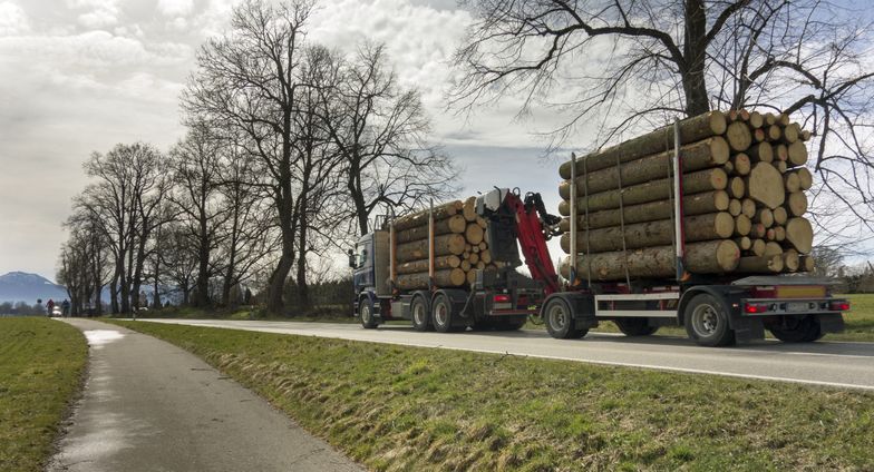 Nielegalne drewno zalewa Polskę. Drastyczny wzrost z nowego kierunku