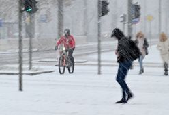 "Lecą do nas ptaki z północy". To pogodowy znak