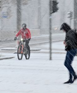 "Lecą do nas ptaki z północy". To pogodowy znak