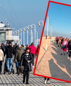 Gigantyczna kolejka na plaży w Sopocie. "Wow, nigdy w życiu..."