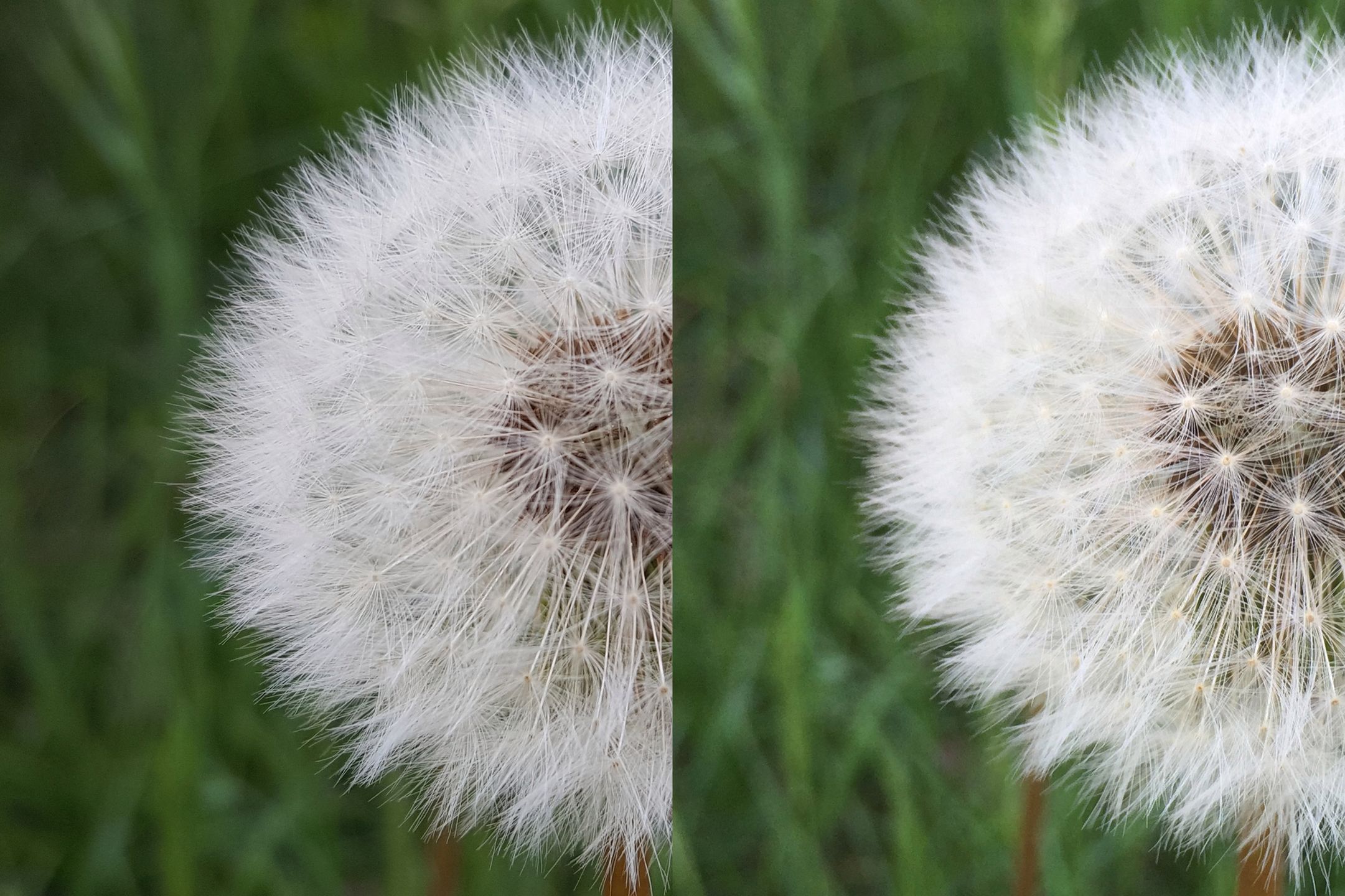 Samsung Galaxy S6 – test fotograficzny 88