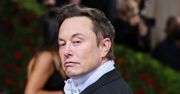 Musk zapowiada, że  Twitter będzie darmowy, ale nie dla wszystkich